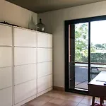 El Gat Torremirona * Navata